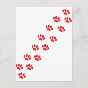 Here Kitty Cat Paws Postcard