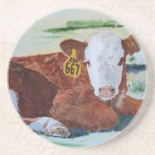 Hereford Calf Coaster