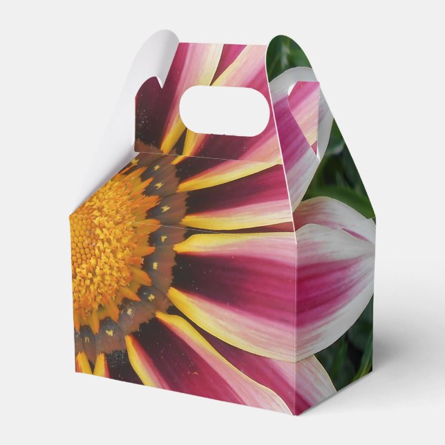 Hereford Favour Box (Front Side)