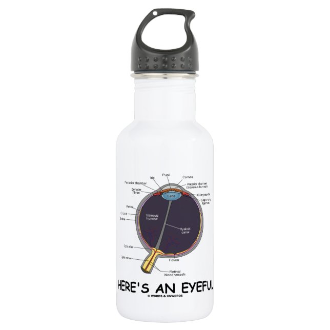 Here's An Eyeful (Eye Anatomy Humour) 532 Ml Water Bottle (Front)