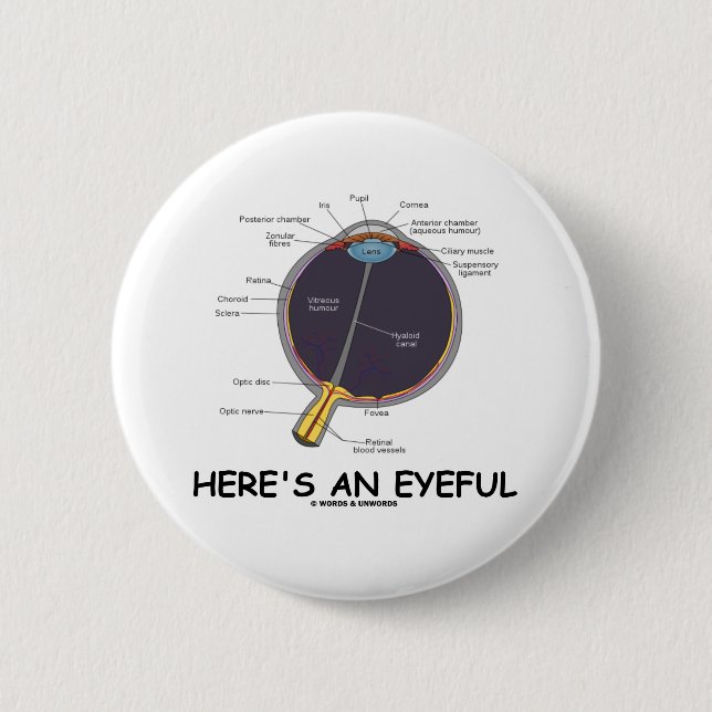 Here's An Eyeful (Eye Anatomy Humour) 6 Cm Round Badge (Front)