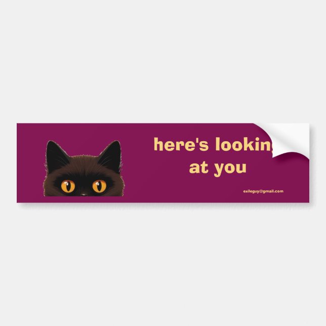 here's looking at you bumper sticker (Front)