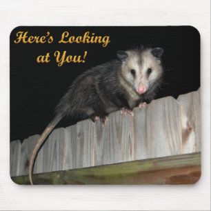 Here's looking at you...... mouse pad
