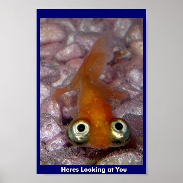 Heres Looking at You Poster (Front)