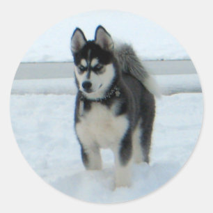 Here's Trouble Classic Round Sticker