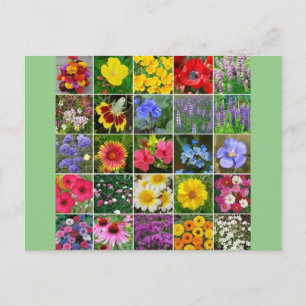 Heritage Flowers - USA Postcard