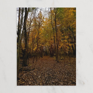 Heritage Park Fall Trail Postcard