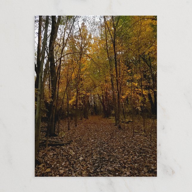 Heritage Park Fall Trail Postcard (Creator Uploaded)