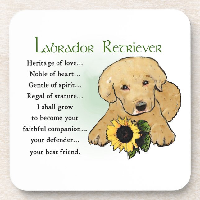 Heritage Yellow Lab Puppy Gifts Coaster (Front)