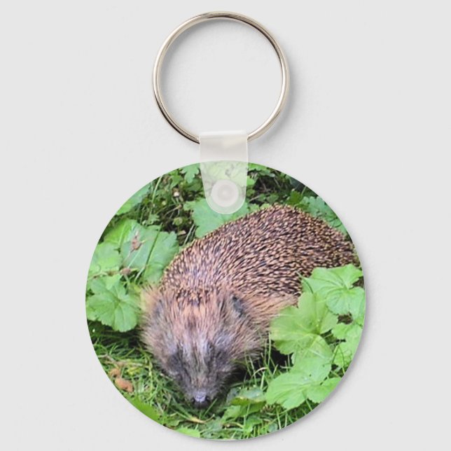 Herman Hedgehog Key Ring (Front)