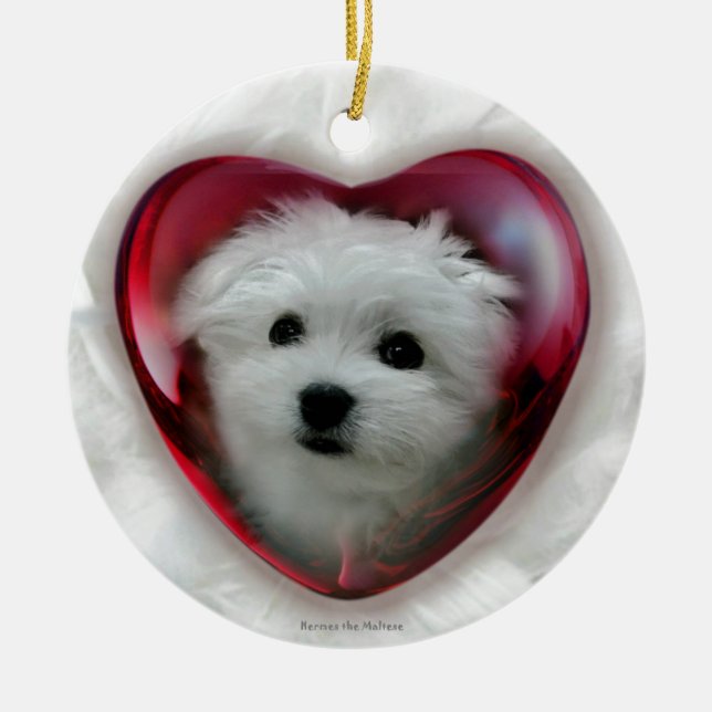 Hermes the Maltese Ceramic Tree Decoration (Front)