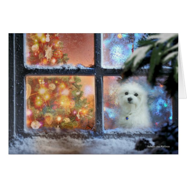 Hermes the Maltese Christmas Card (Front Horizontal)