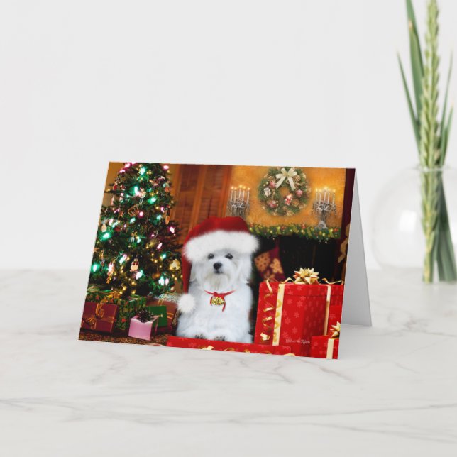 Hermes the Maltese Christmas Greeting Card (Front)
