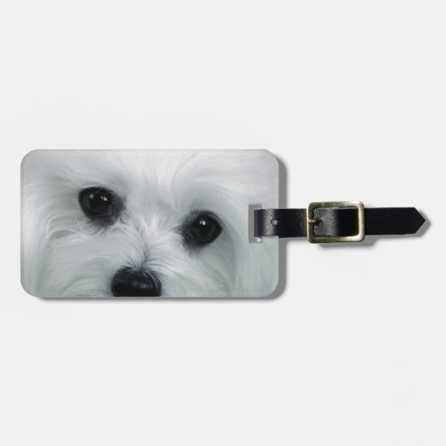 Hermes the Maltese Luggage Tag (Front Horizontal)