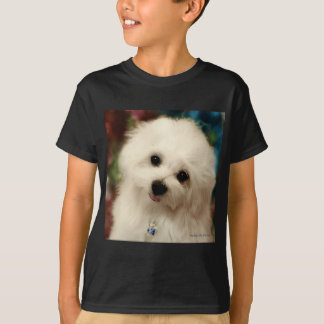 Hermes the Maltese T-Shirt
