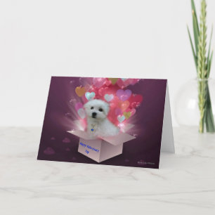 Hermes the Maltese Valentine Card