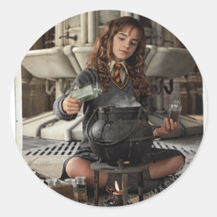 Hermione 20 classic round sticker