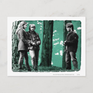 Hermione, Ron, and Harry 1 Postcard
