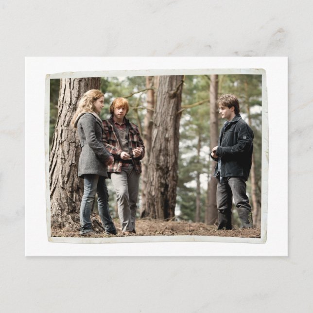 Hermione, Ron, and Harry Postcard (Front)