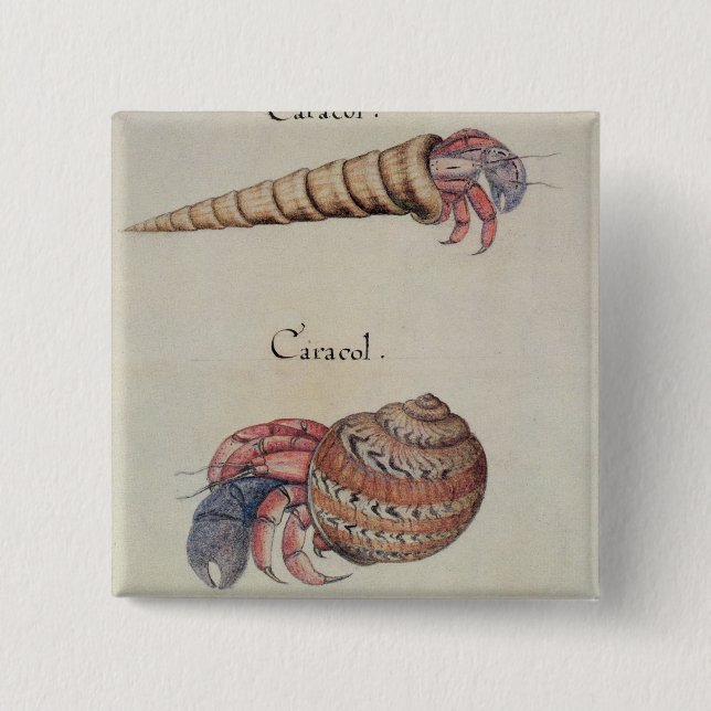 Hermit Crab 15 Cm Square Badge (Front)