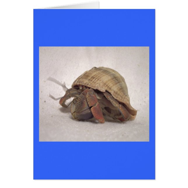 Hermit Crab #8 (Front)