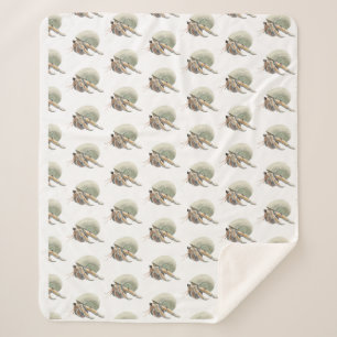Hermit Crab Blanket Medium