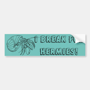 Hermit Crab Bumper Sticker