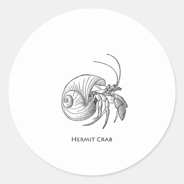 Hermit Crab Illustration (line art) Classic Round Sticker (Front)