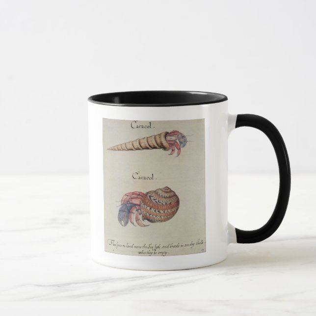 Hermit Crab Mug (Right)