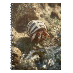 Hermit Crab Seashell Beach Notebook