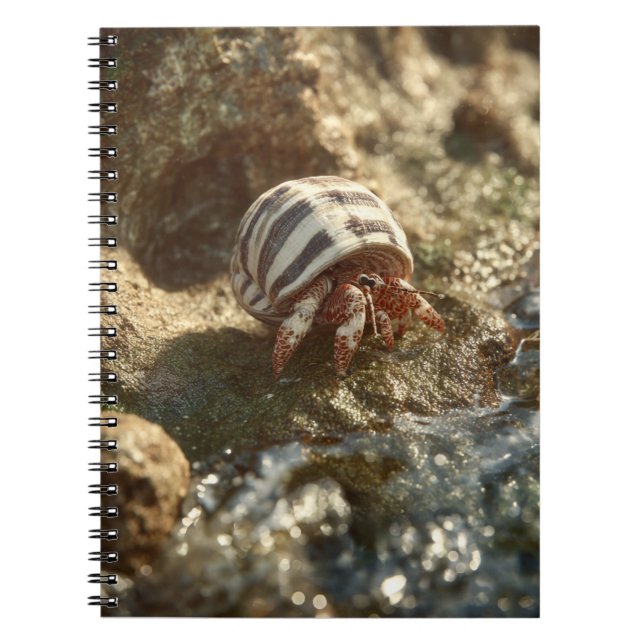 Hermit Crab Seashell Beach Notebook (Front)