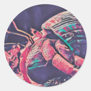 Hermit Crab Sticker 