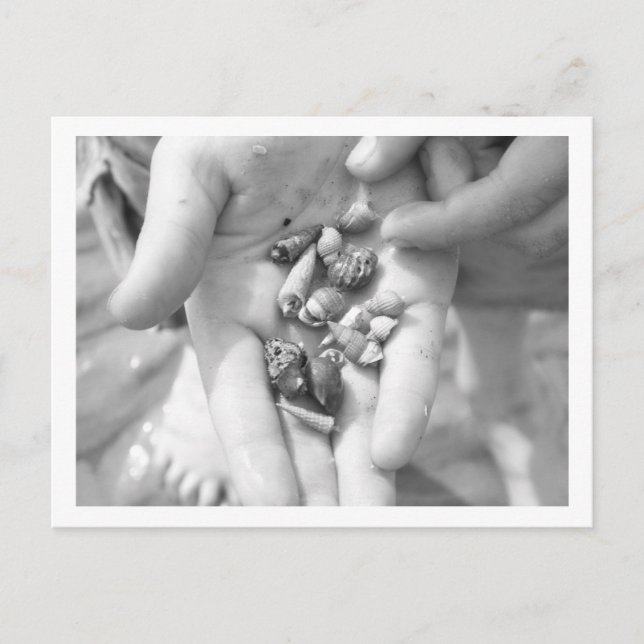 hermit crabs postcard (Front)