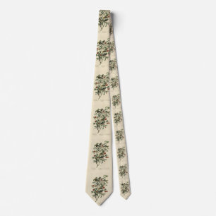 Hermit, Other Warblers, Audubon's Birds of America Tie