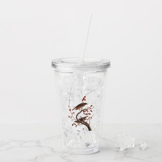 Hermit Thrush Audubon Bird with Red Berries Acrylic Tumbler (Back Ice)