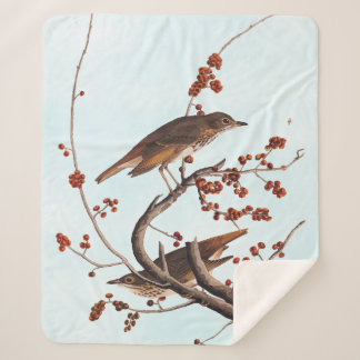 Hermit Thrush Audubon Bird with Red Berries Sherpa Blanket