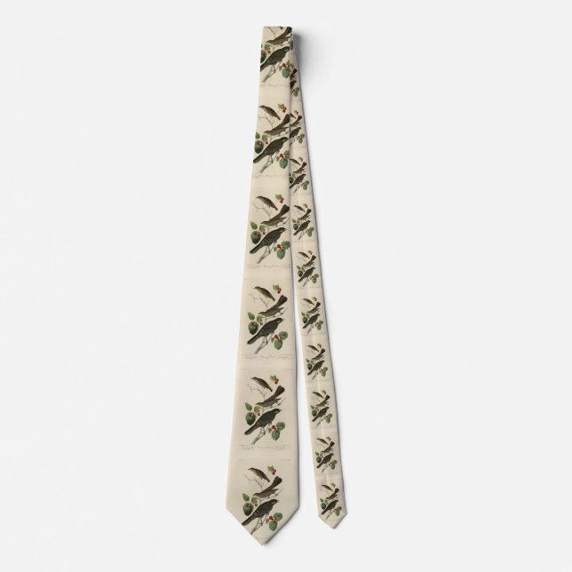 Hermit Thrush, Grey Jay Audubon's Birds of America Tie (Front)