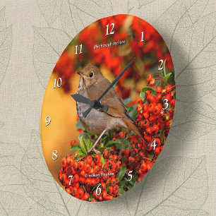 Hermit Thrush Songbird on the Scarlet Firethorn Large Clock