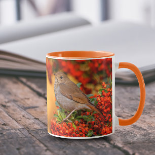 Hermit Thrush Songbird on the Scarlet Firethorn Mug
