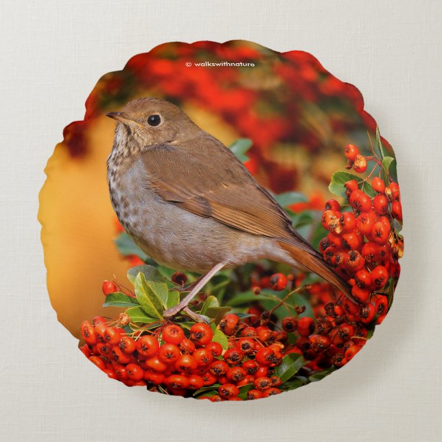 Hermit Thrush Songbird on the Scarlet Firethorn Round Cushion (Front)