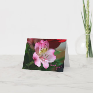 Hermoso Thank You Card