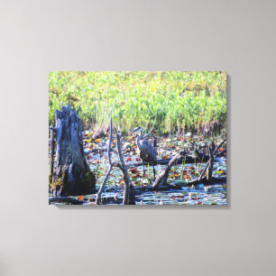 Heron 6467 canvas print