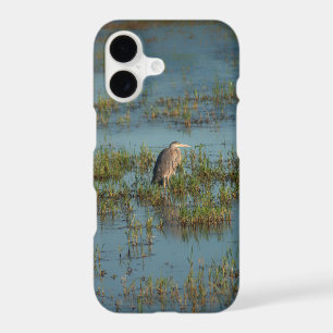 Heron 6937