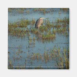 Heron 6937 magnet