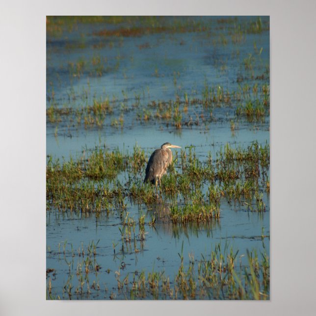 Heron 6937 poster (Front)