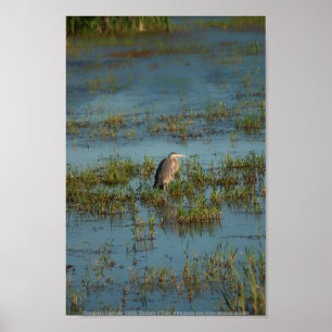 Heron 6937 poster