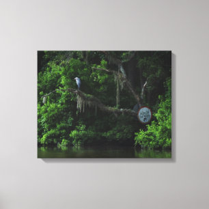 Heron  and Lazy River Canvas Print