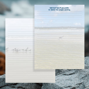 Heron and Shore Birds of Florida Lined Paper