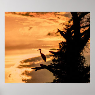 Heron at Sunset - James River -- art poster