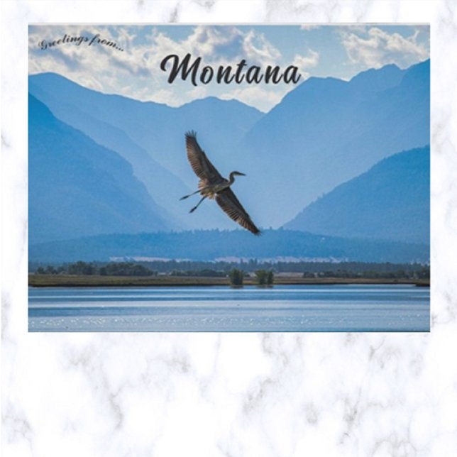 Heron at the Ninepipe Wildlife Refuge in Montana  Postcard (Creator Uploaded)
